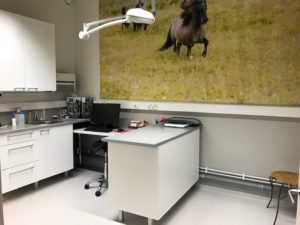 Eläinlääkäriasema Taikatassu - Kissojen vastaanottohuone