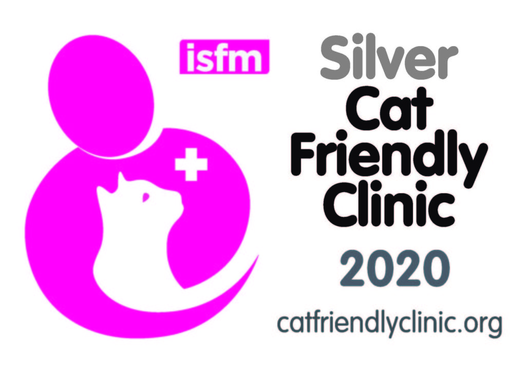 Cat friendly Clinic